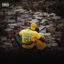 Cover Meu Complexo