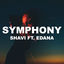 Cover Symphony (feat. Edana)