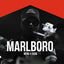 Cover MARLBORO (feat. Ekoo)