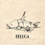 Cover Beluga