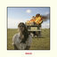 Cover House on Fire