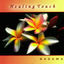 Cover Healing Touch