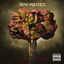 Cover New Politics