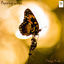 Cover Flapping Wings