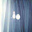 Cover SHINE