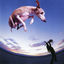 Cover Flying Dog