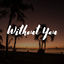 Cover Without You
