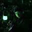 Cover Vide Abyssal