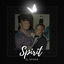 Cover Spirit