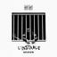 Cover L'instable