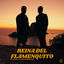Cover Reina del Flamenquito