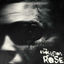 Cover The Evolution of the Rose