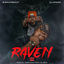 Cover Raven