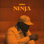 Cover Ninja