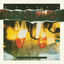 Cover Gonna Get You (Expanded Edition)
