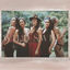 Cover Wild Sweet