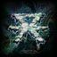 Cover Experimental Demo Age