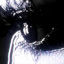 Cover ENDISNIA