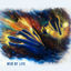 Cover Web of Life
