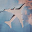 Cover Sans avion