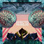 Cover Efecto Manglar