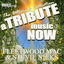 Cover A Tribute Music Now: Fleetwood Mac and Stevie Nicks - The Ultimate Collection