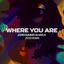 Cover Where You Are (Zedd Remix)