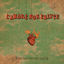 Cover L'amore non esiste