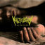 Cover Dead From The Start