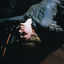 Cover E