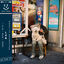 Cover Happily Depressed