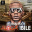 Cover Alaga Ibile