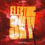 Cover Electric Sky (Techno Mix)