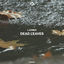 Cover Dead Leaves