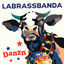 Cover Danzn