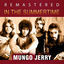 Cover In the Summertime (Remastered)