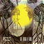 Cover De Mar y Río