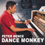 Cover Dance Monkey
