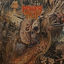 Cover Manifest Decimation