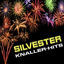 Cover Silvester Knaller-Hits