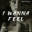 Cover I Wanna Feel