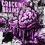Cover Cracking Brains
