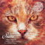 Cover Falling in Love (Tube & Berger Remix)
