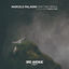 Cover Drifting Birds