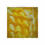 Cover Jaune