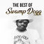 Cover The Best of Swamp Dogg
