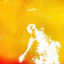 Cover Brillo