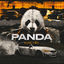 Cover Panda