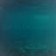 Cover Blue Ocean Dreams