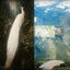 Cover pfau